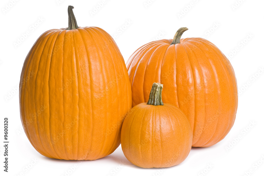 Obraz premium Pumpkin Series