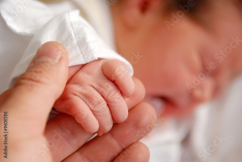 A neonate and its hand