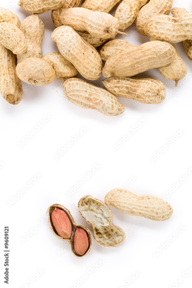 Peanuts with white background, close up Peanuts with white background, close up