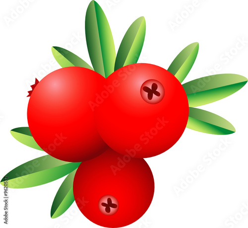 cranberry