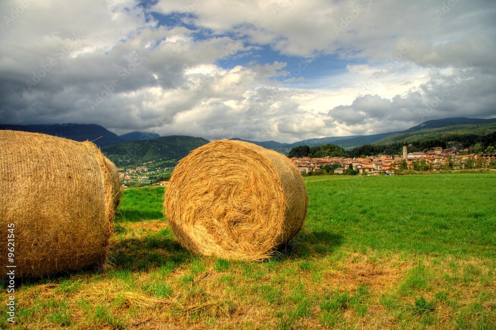 Hay bale