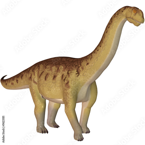Camarasaurus-3D Dinosaurier © Andreas Meyer