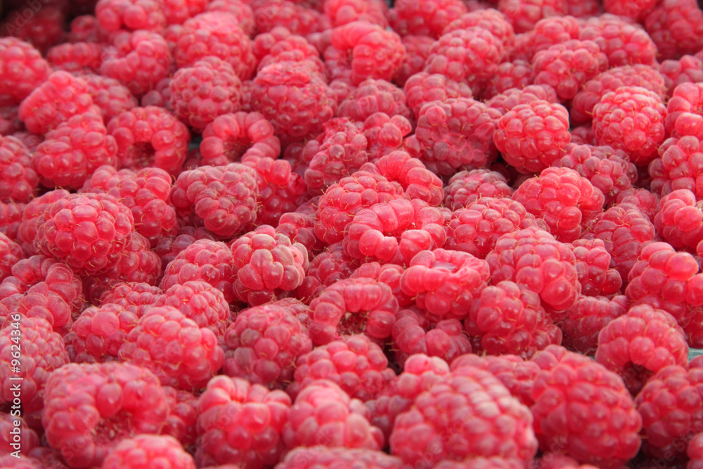 Close-up of fresh, organically grown raspberries Close-up of fresh, organically grown raspberries