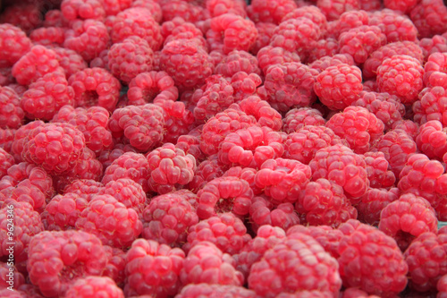 Close-up of fresh, organically grown raspberries