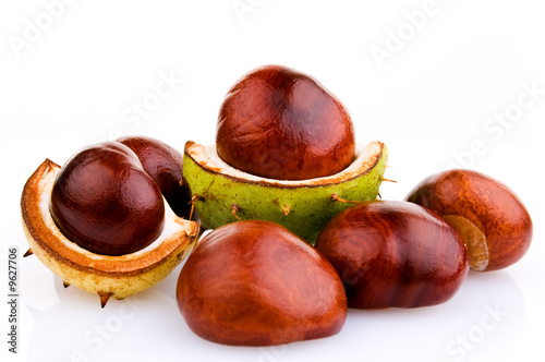 Chestnuts isolated on white background