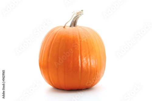 Big round orange pumpkin isolated on white
