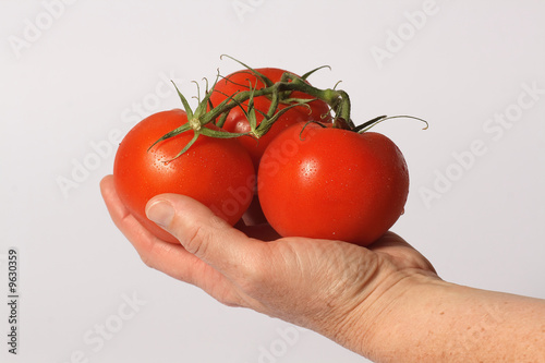 Bild auf Leinwand Hand hält Tomaten