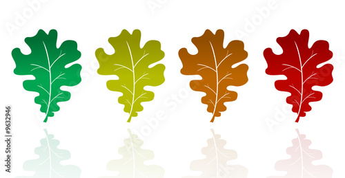 Oak leaves autumn colors