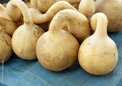 dry bottle-gourds photo