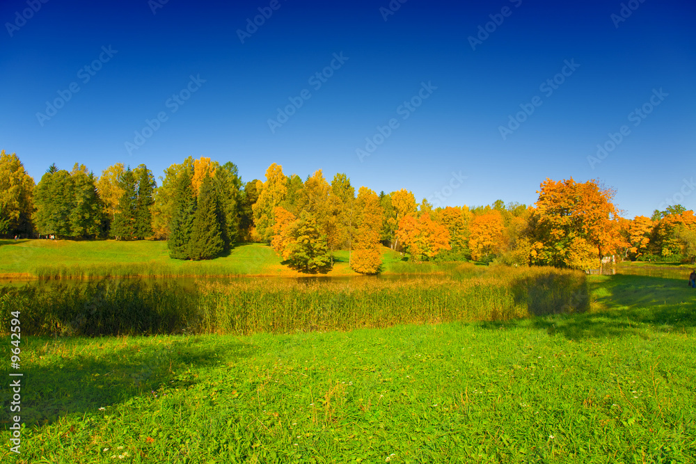 the autumn landscape with yellow trees and small pond