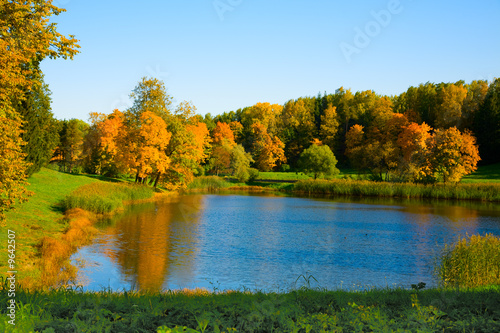 the autumn landscape with yellow trees and small pond
