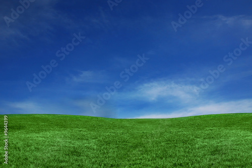 Empty Landscape Only Containing Green Grass