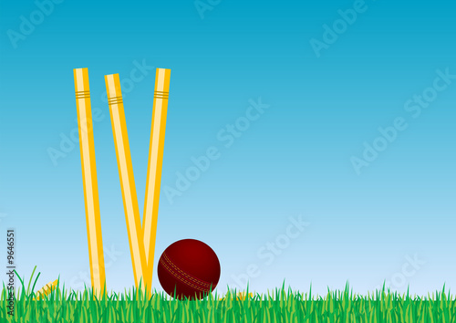 Cricket Ball in the Grass 2b