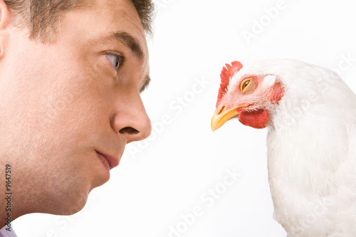 Schilderij op canvas Face of man looking at chicken with calm expression on it