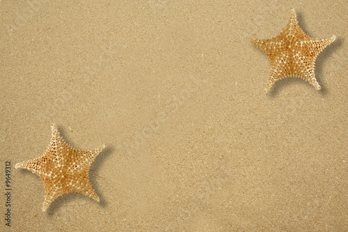 Two star fish on the sandy beach