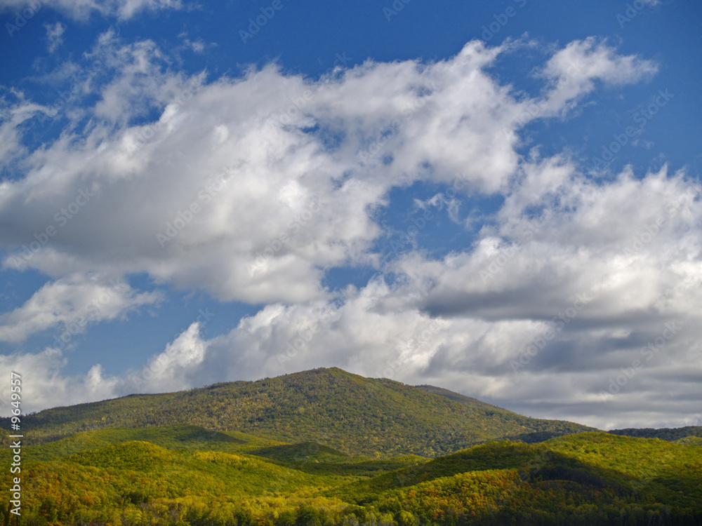 A summer landscape with mountain and wood A summer landscape with mountain and wood