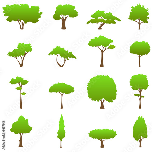 tree graphics vector