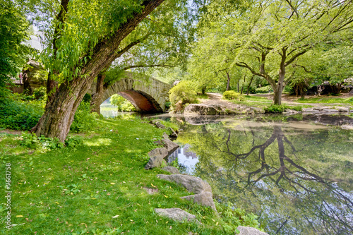 A landscape with a stone bridge in Central Park, NY