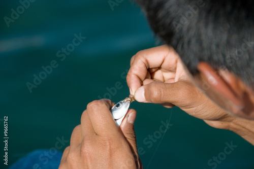 pesca