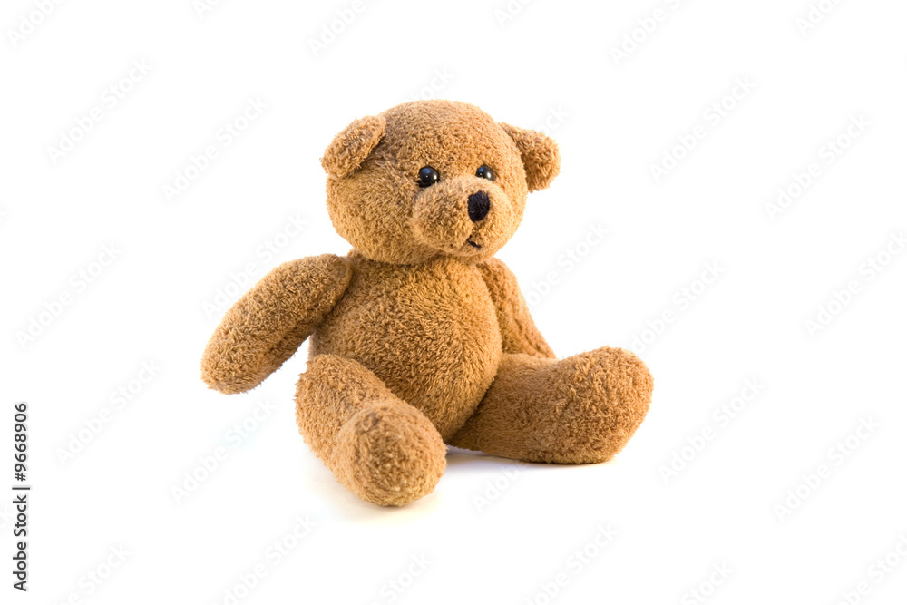 Fototapeta premium Teddy Bear