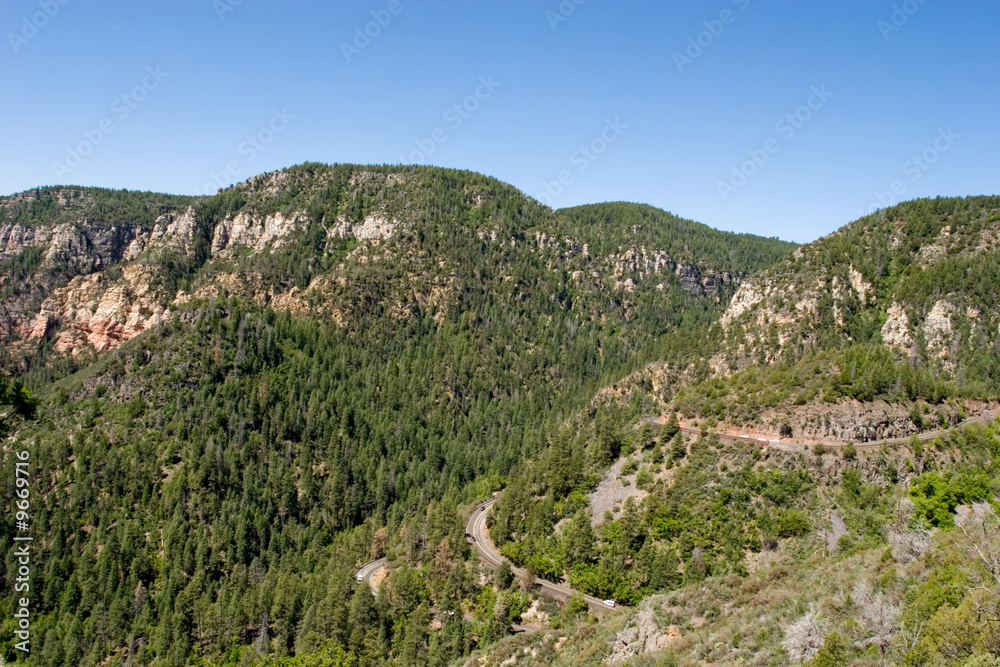 Scenic mountain view and pine trees in the forest