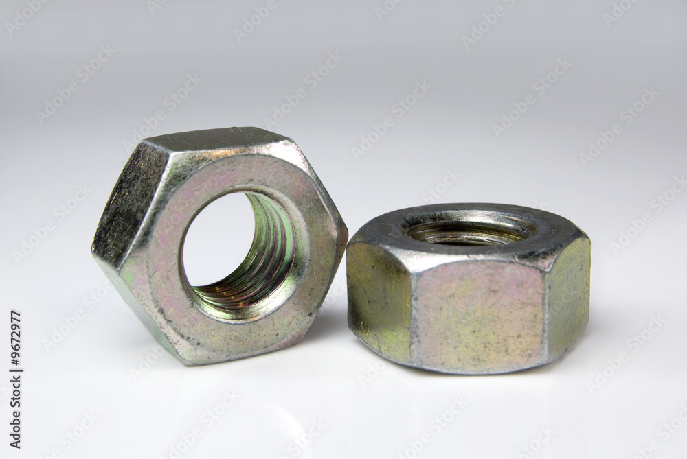 Two isolated nuts on a plain background Two isolated nuts on a plain background