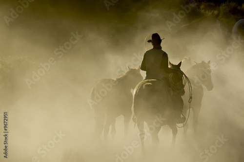 Single Cowboy with rope and horses in the dust
