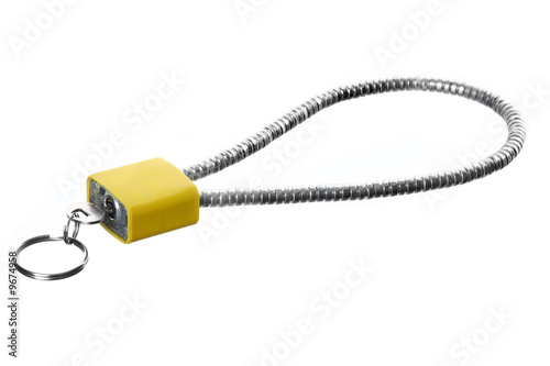 Gun Lock Isolated Against White