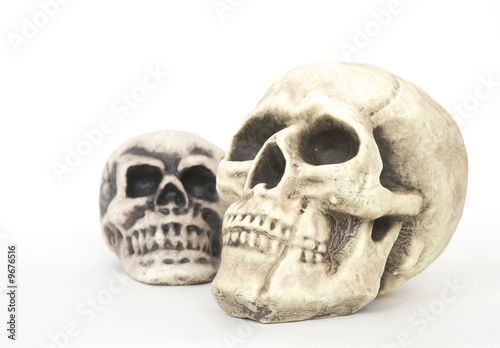 replicas of two human skulls © Tony Campbell