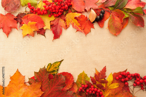 background from autumn leaves and textile