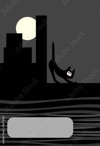 Beauty night city cat background