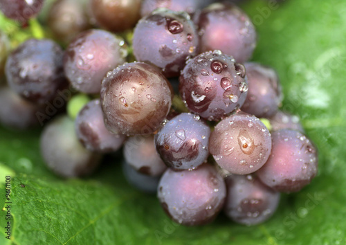 red grapes on a green leaf