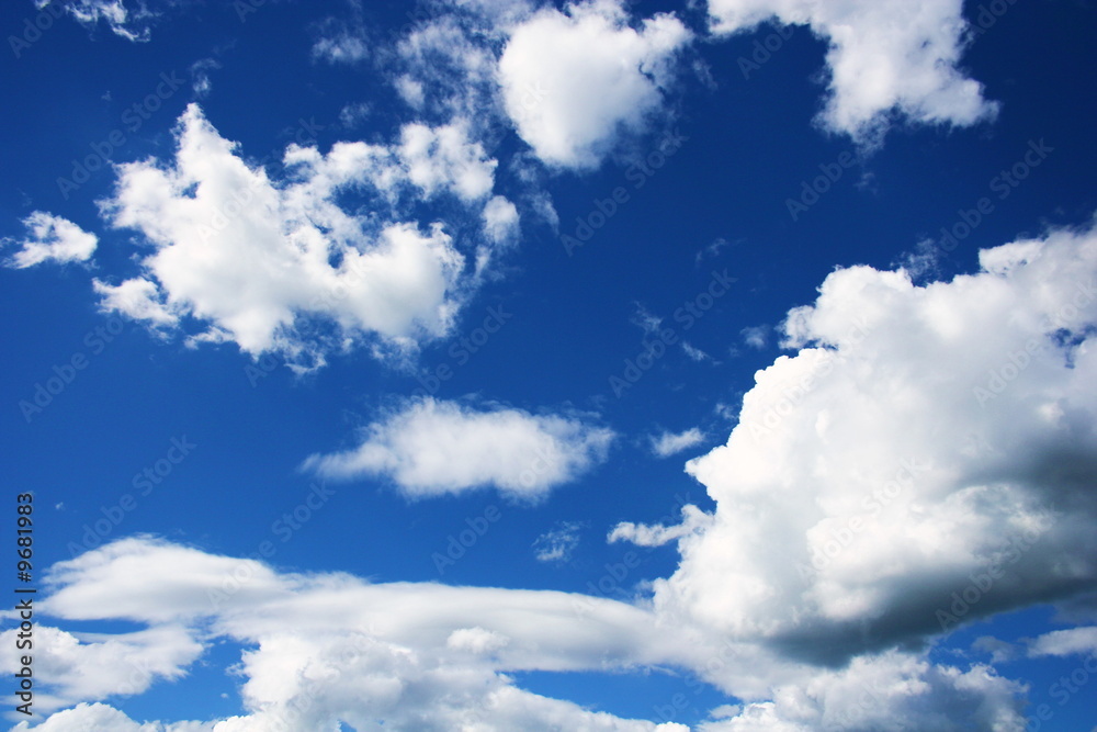 Fototapeta premium 夏 青空 白い雲