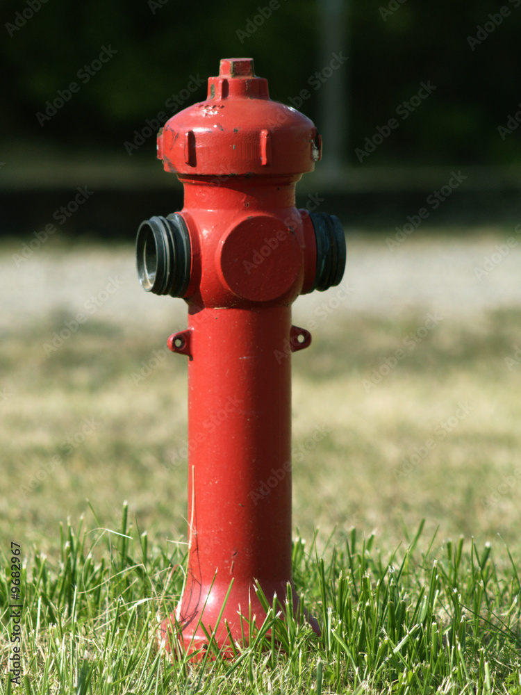 Idrante rosso in mezzo ad un prato d'estate Idrante rosso in mezzo ad un prato d'estate