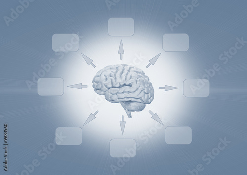 human brain on blue background