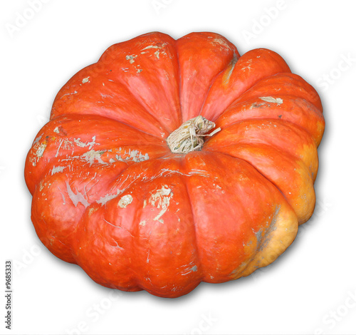 citrouille 02