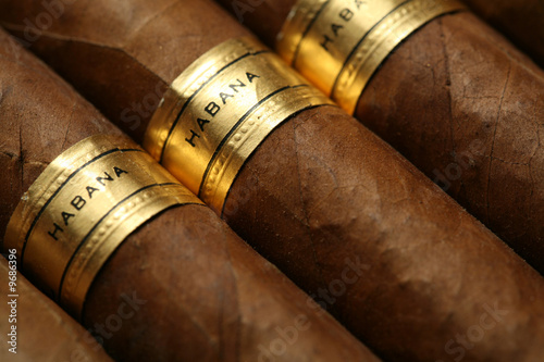 Obraz na płótnie Havana cigars texture w salonie