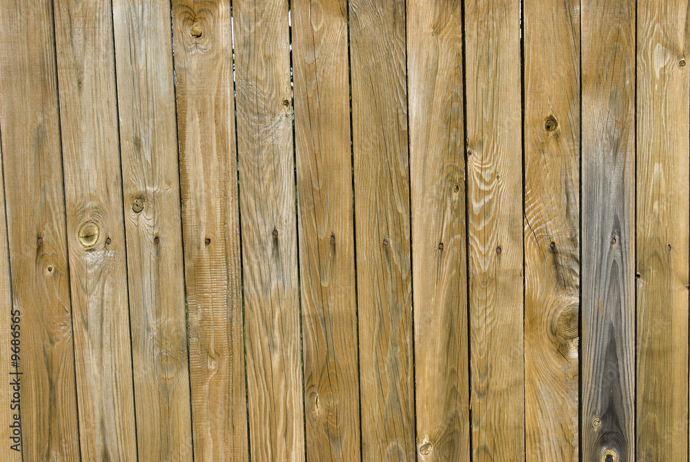 Fototapeta premium Wood with knots. A new fence. It is processed against rotting.