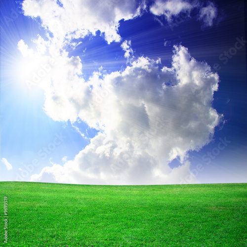 Green field beautiful