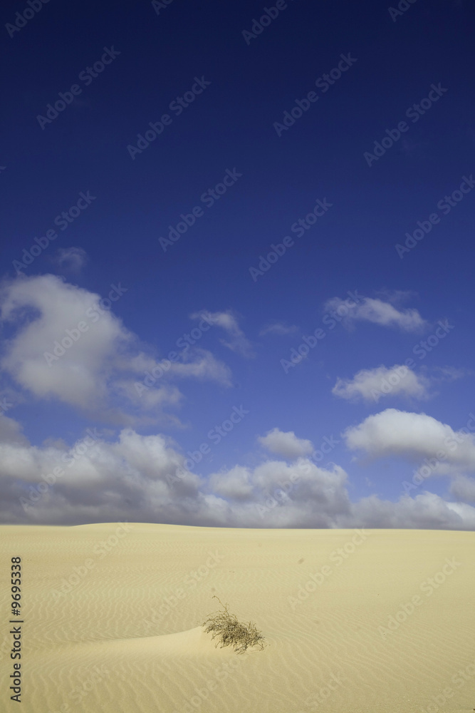 Fototapeta premium Fuerteventura