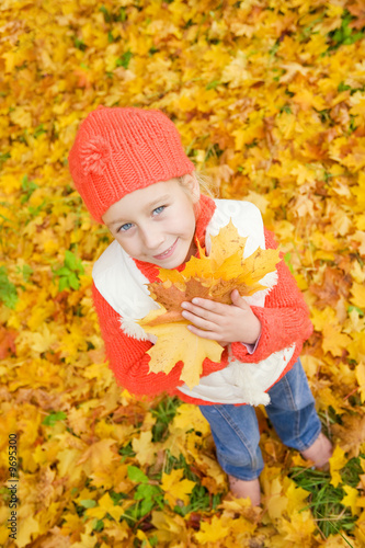 Beautiful little girl with autumn leaves outdoors