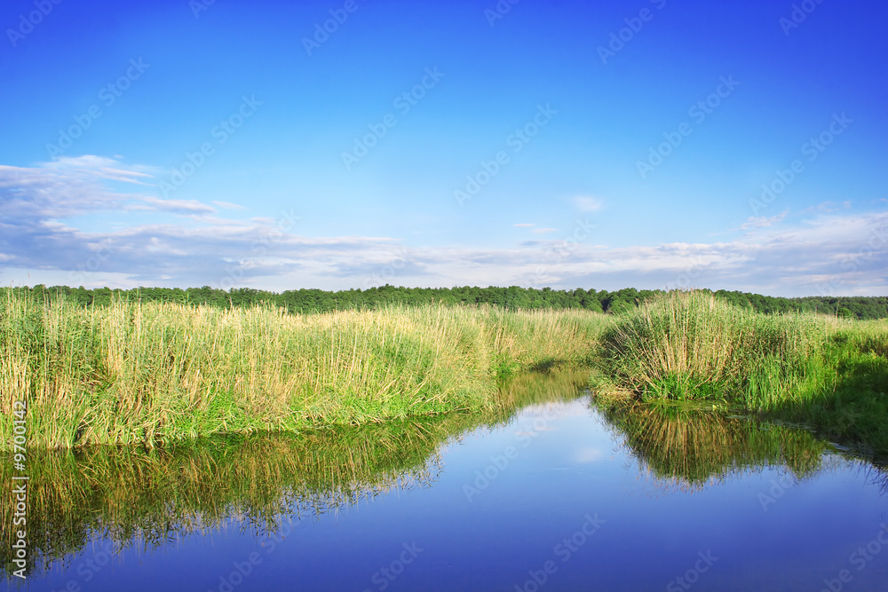 River. Russian nature, wilderness world. River. Russian nature, wilderness world.