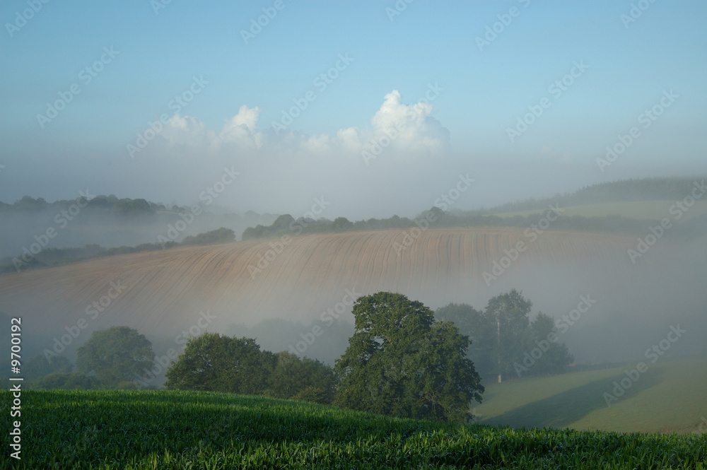paysage brumeux