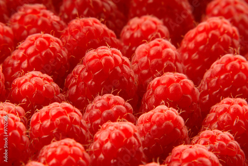 crop red raspberries, close up