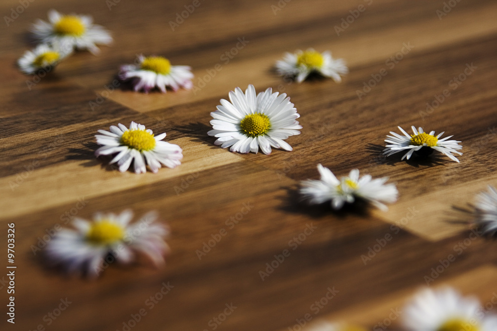Obraz premium holzblumen