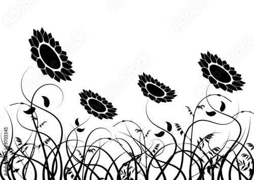 Sunflowers vector background