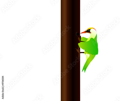 Εκτύπωση καμβά pecker
