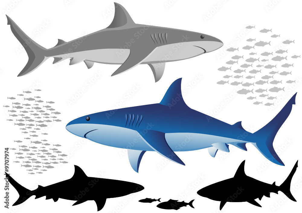 Naklejka premium Sharks and fish