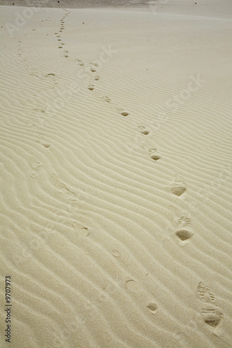 Fuerteventura