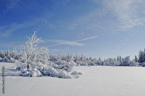 Schwarzwald photo